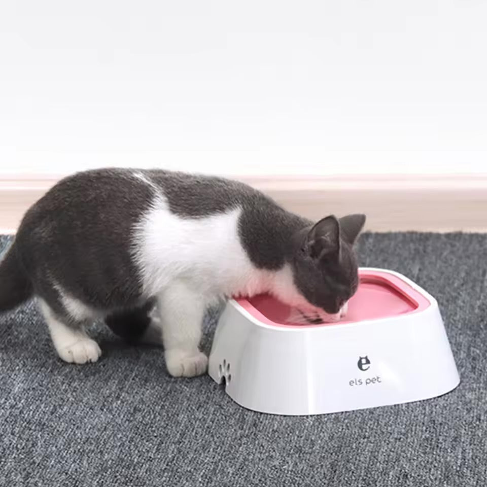Pet None Spill Water Bowl